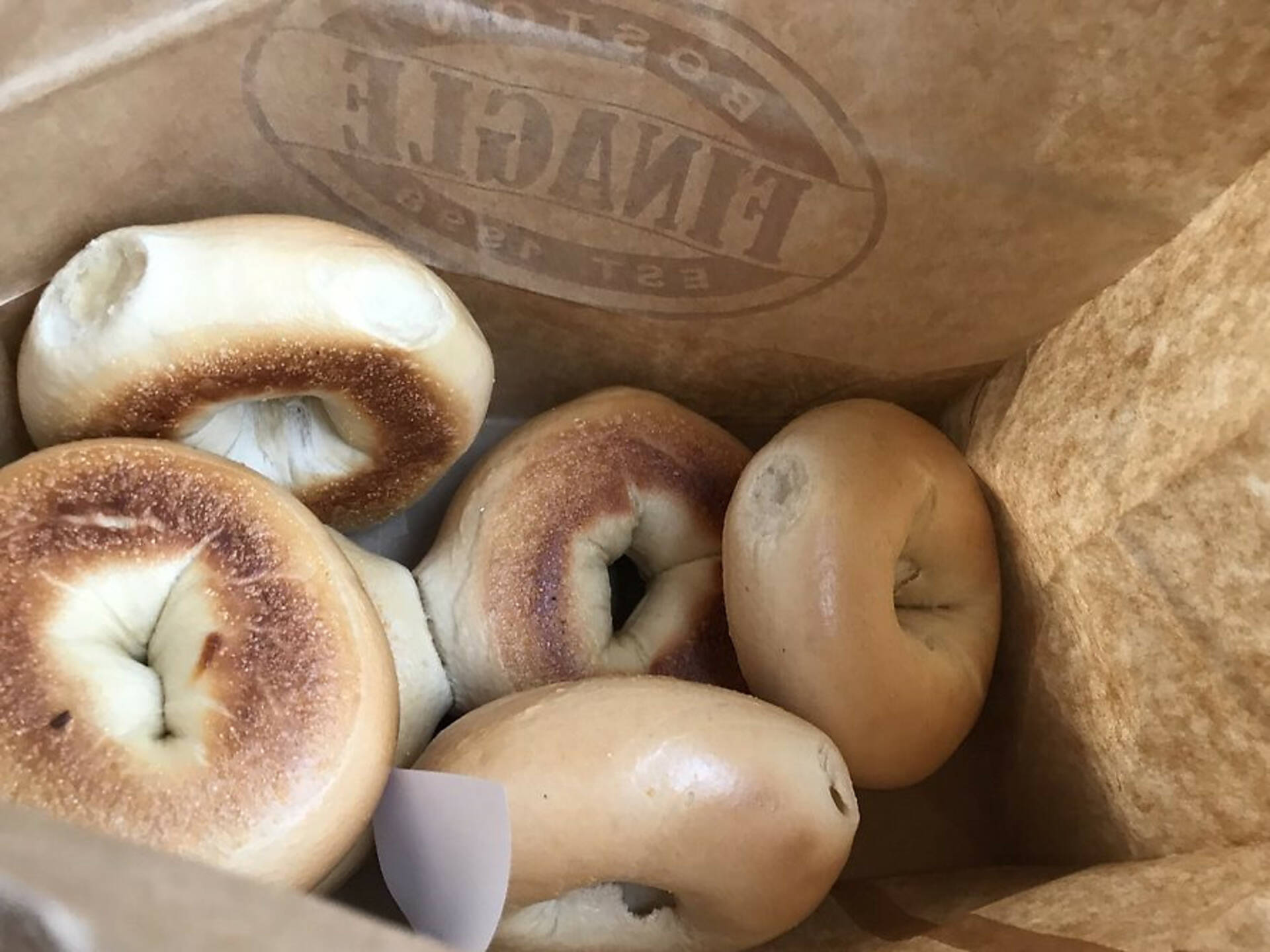 Best Bagels in Boston 11 Destinations for PicturePerfect Bagels