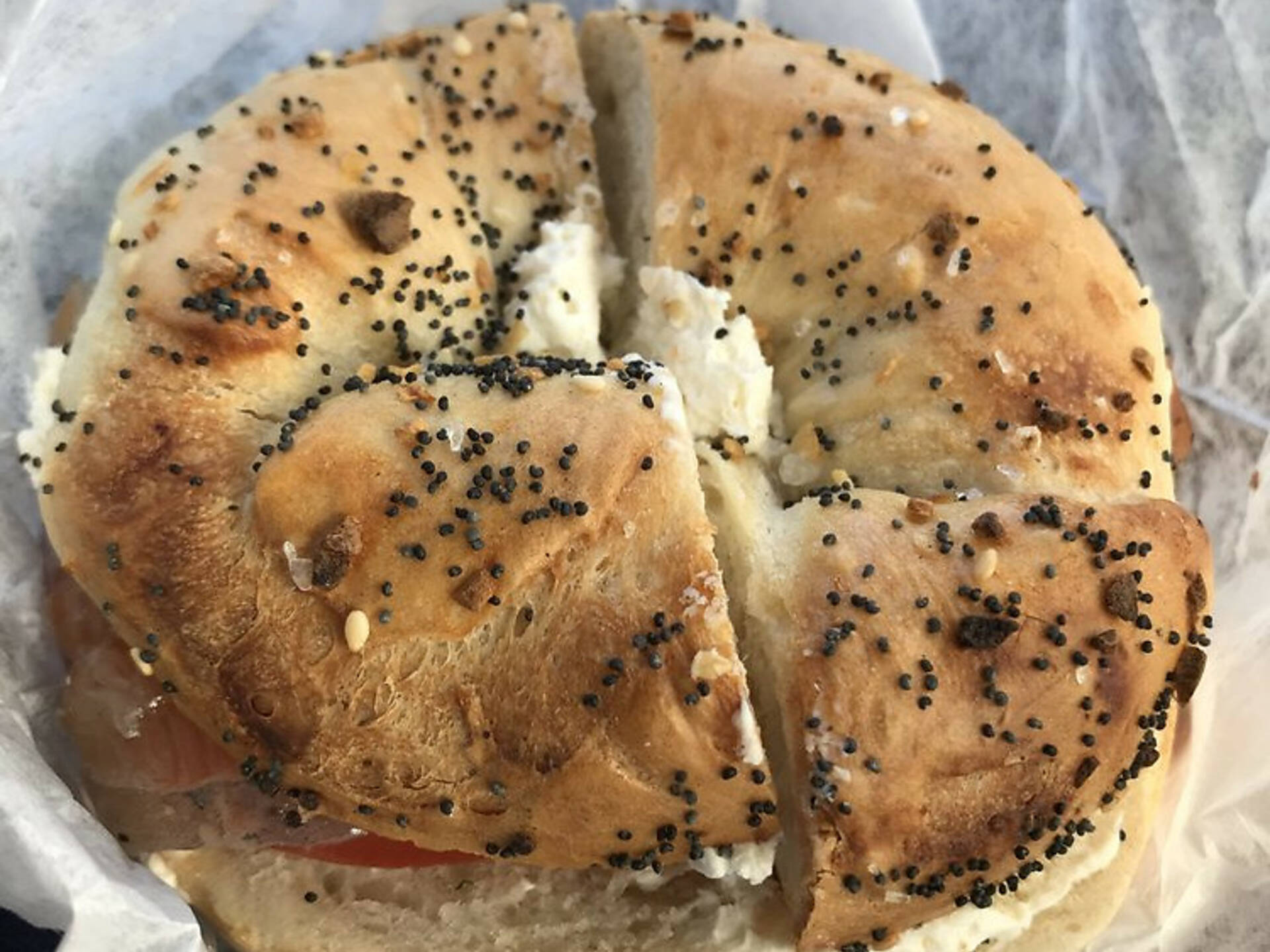 Best Bagels in Boston 11 Destinations for PicturePerfect Bagels