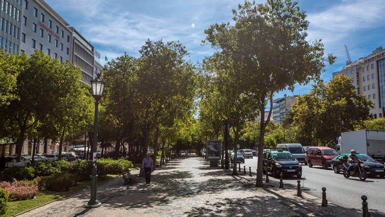 Avenida da Liberdade