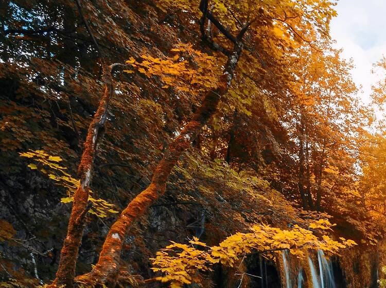 Plitvice Lakes National Park in autumn