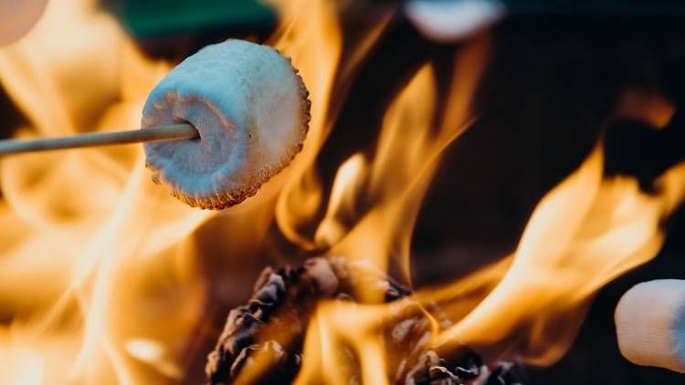 S'more it up at a park bonfire