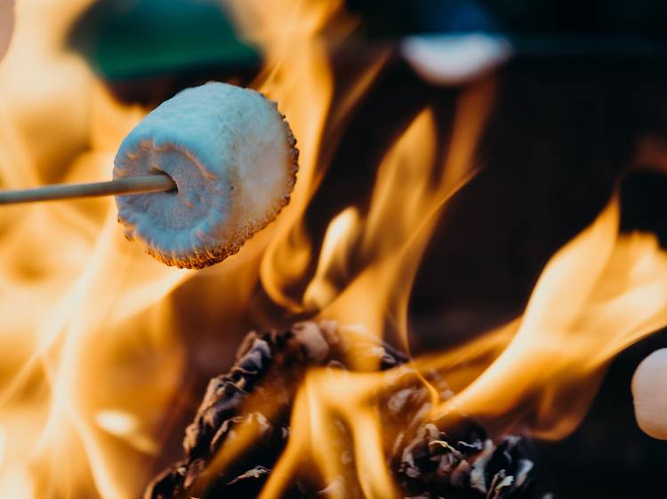 S'more it up at a park bonfire