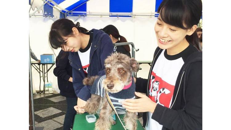 駒沢わんこ祭り