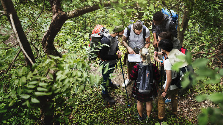 Group of people in the bush looking at a map