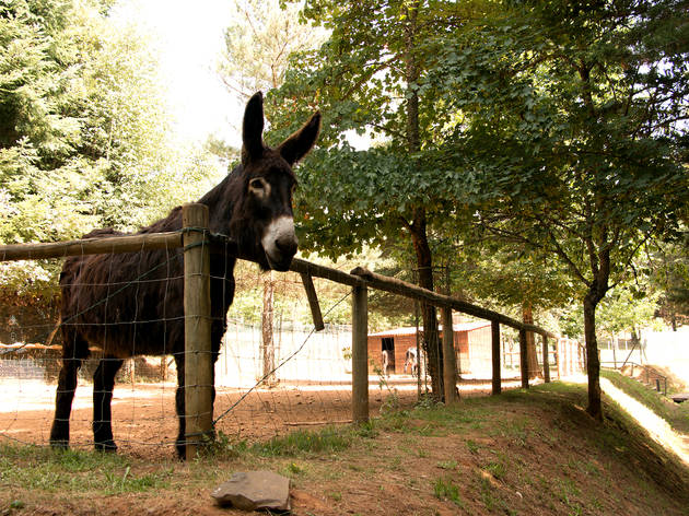 Parque Biológico de Vinhais Parque Biológico de Vinhais