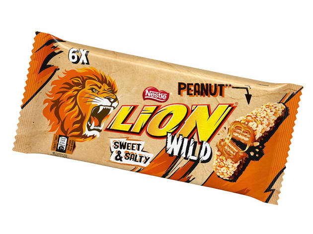 Lion Wild Lion Wild