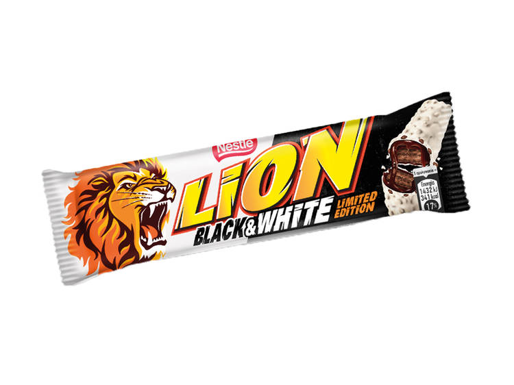 Lion Black & White