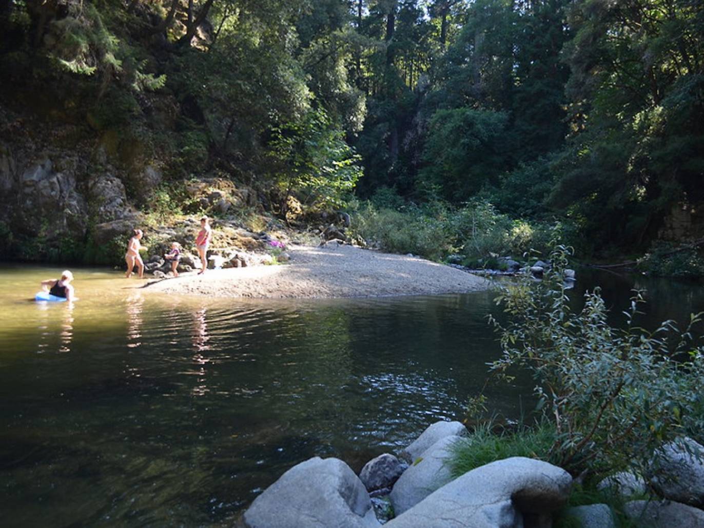 The 13 Best Places To See California Redwoods Up Close