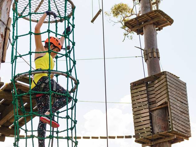 The 3 best high ropes courses in Sydney