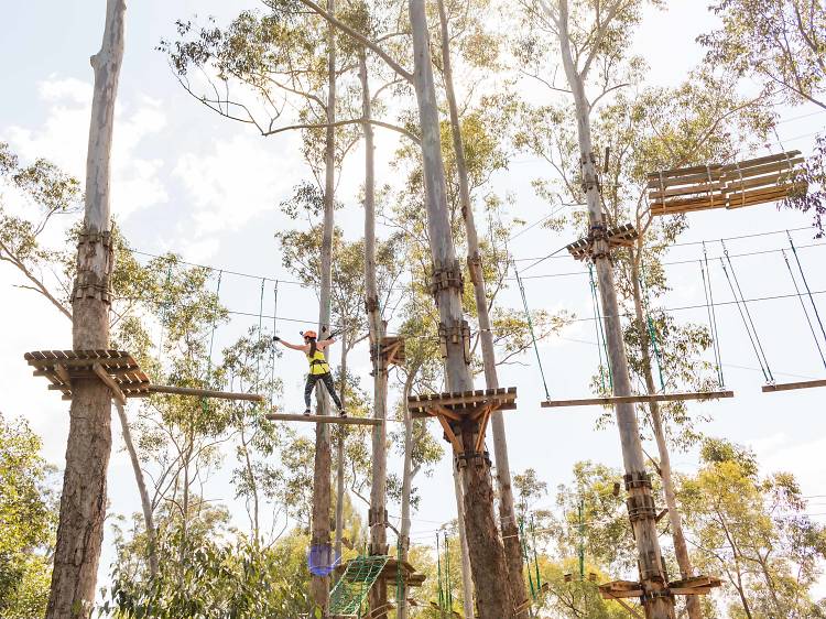 The best high ropes courses in Sydney