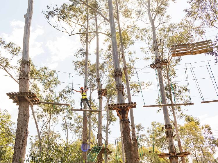 Girl climbing across high ropes course in trees 