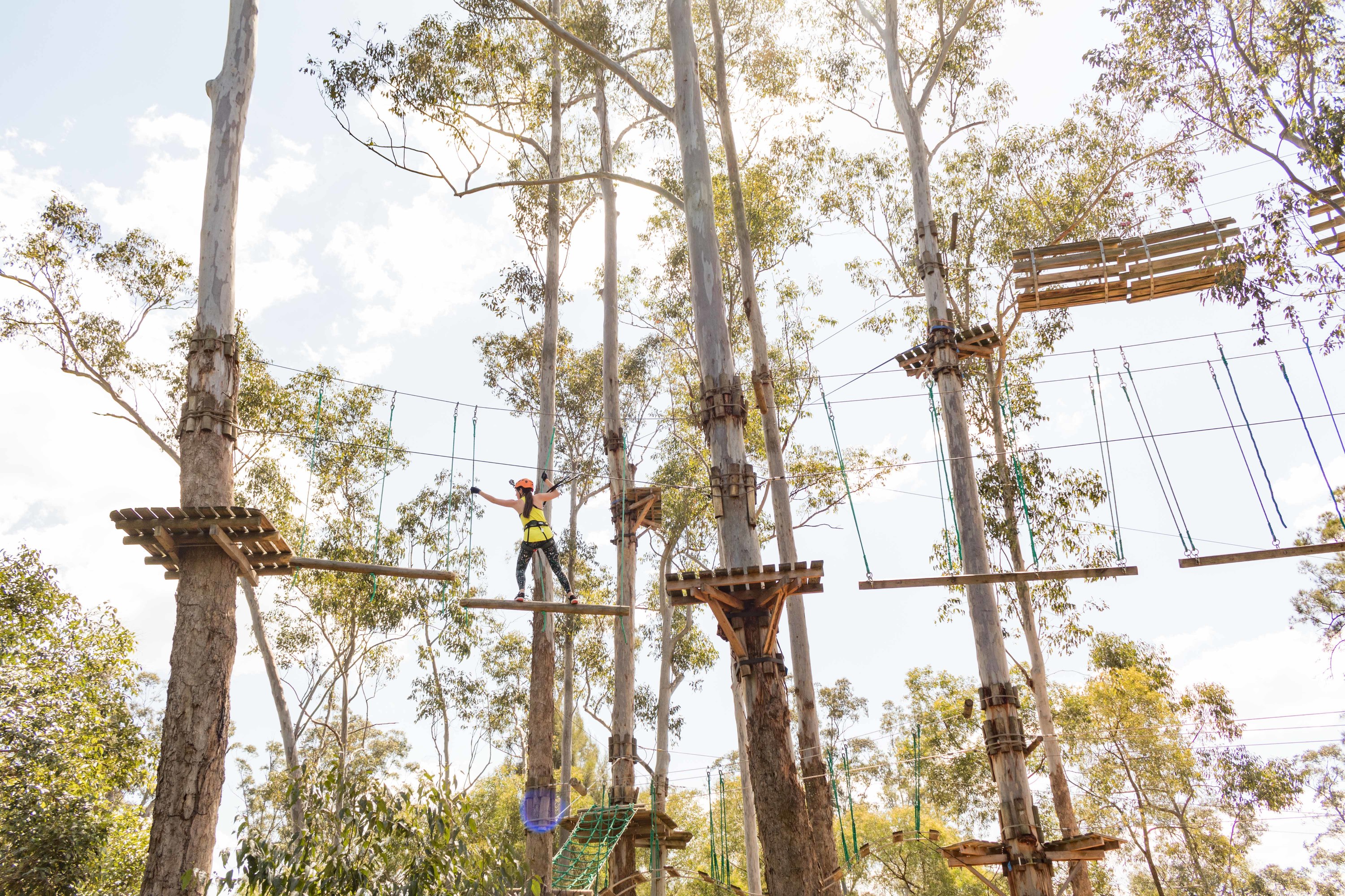 The 3 best high ropes courses in Sydney