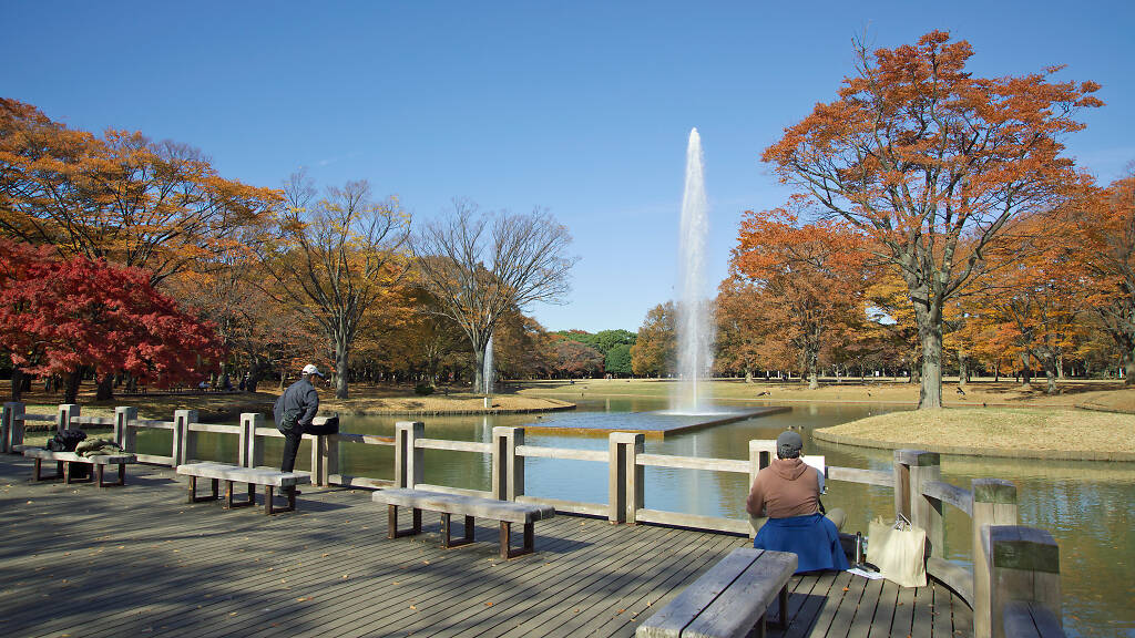 9 best parks and grand green spaces to enjoy in Tokyo