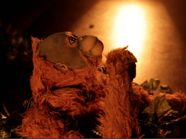 Jojó Jojó