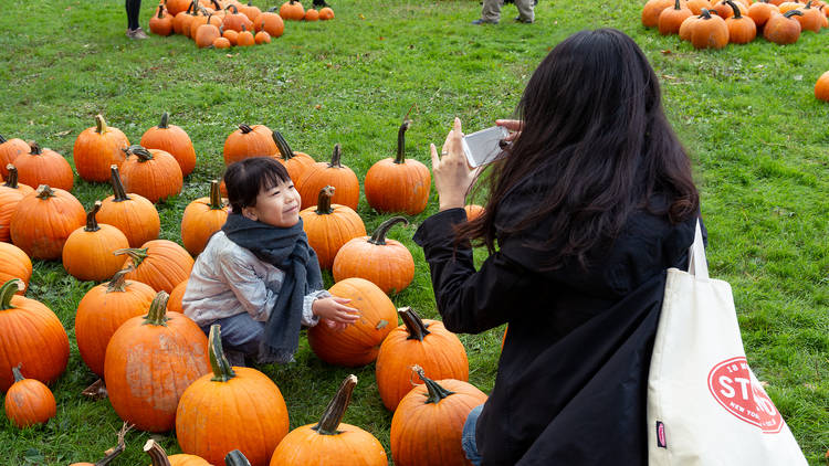 Pumpkin Point