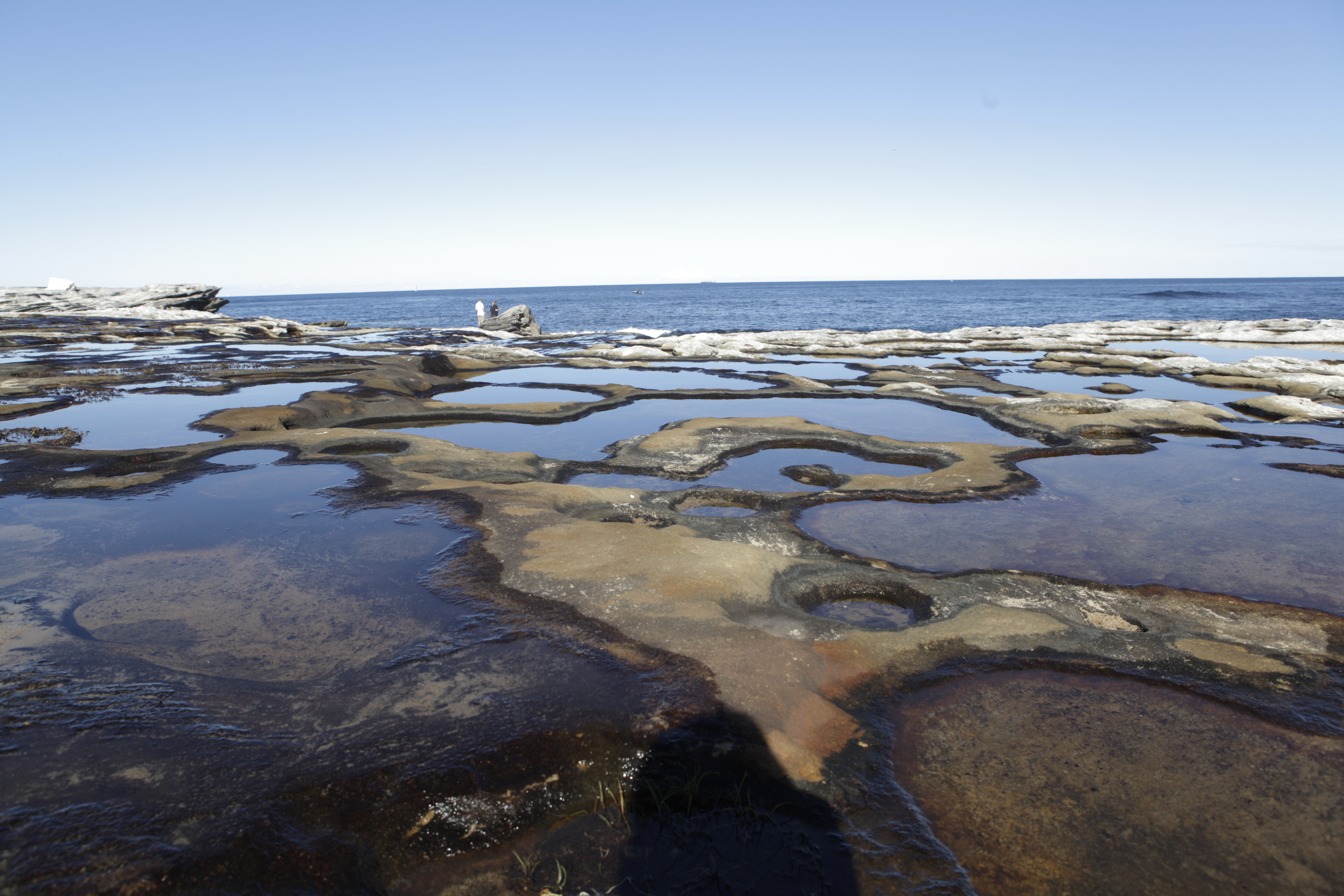 Boat Harbour Aquatic Reserve Attractions in Kurnell, Sydney