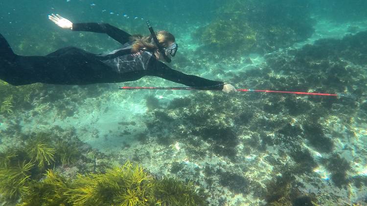 Boat Harbour Aquatic Reserve