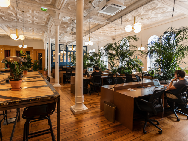 Selina Navis Cowork