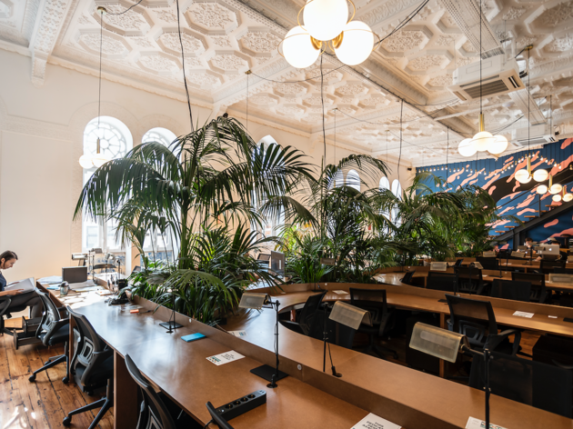 Selina Navis Cowork