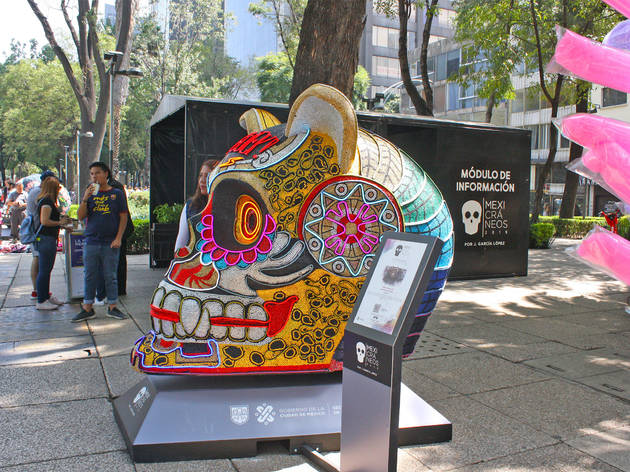 Mexicráneos Mexicráneos