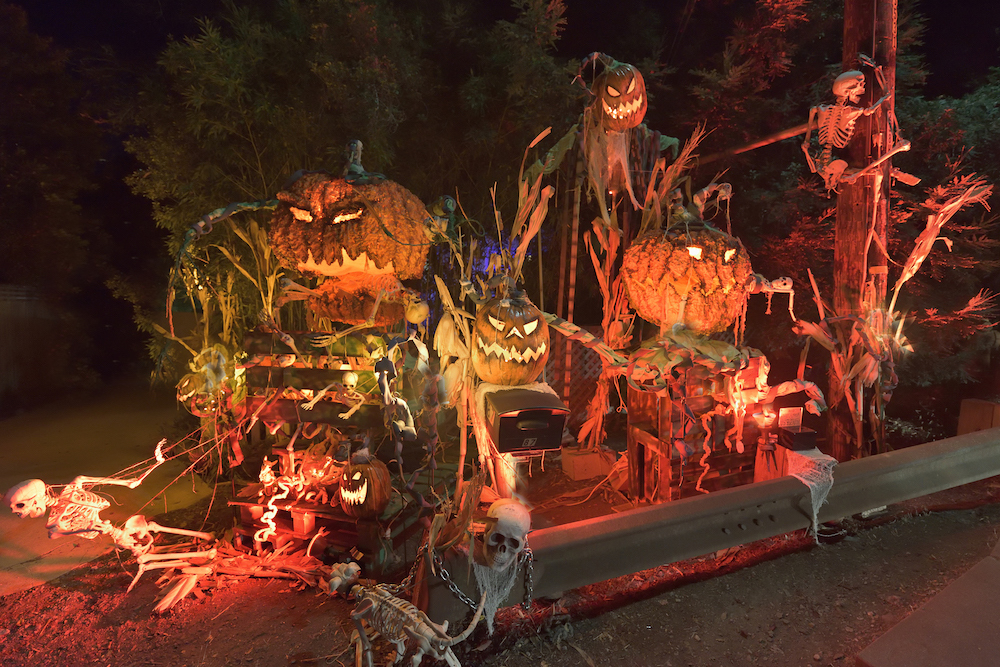 Haunted Hayride NY Spots That'll Make Kids Scream with Delight
