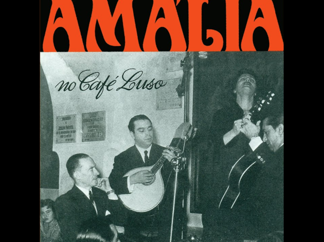 amalia no cafe luso amalia no cafe luso