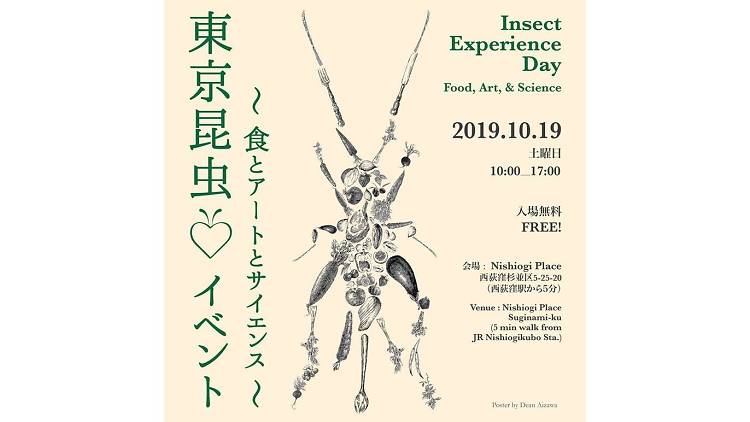 Insect Experience Day
