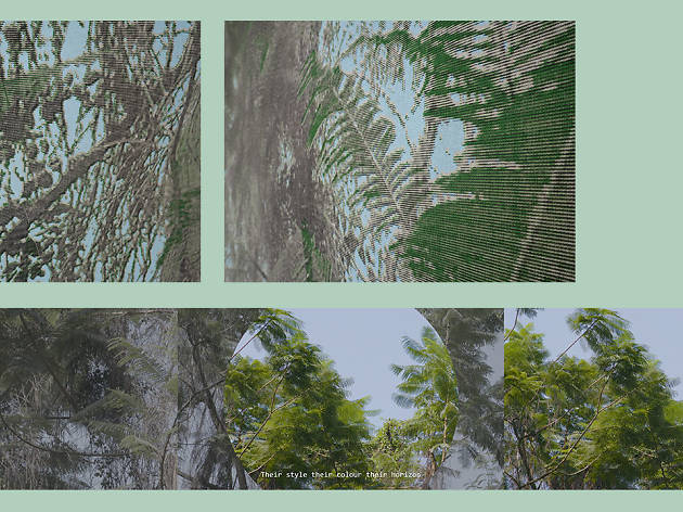 tropics, a many (con)sequence tropics, a many (con)sequence