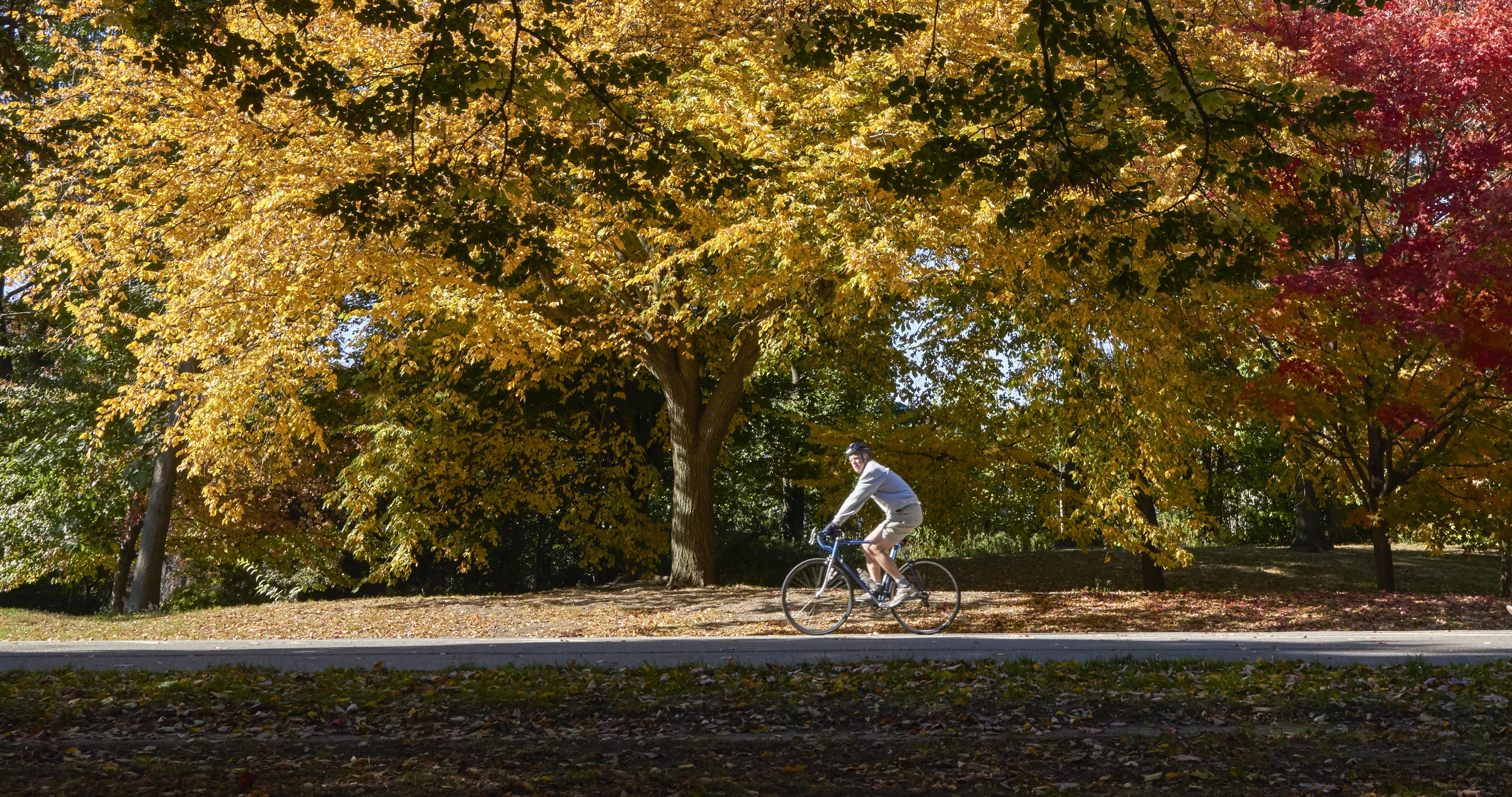 Bike Day at Prospect Park Things to do in New York Kids