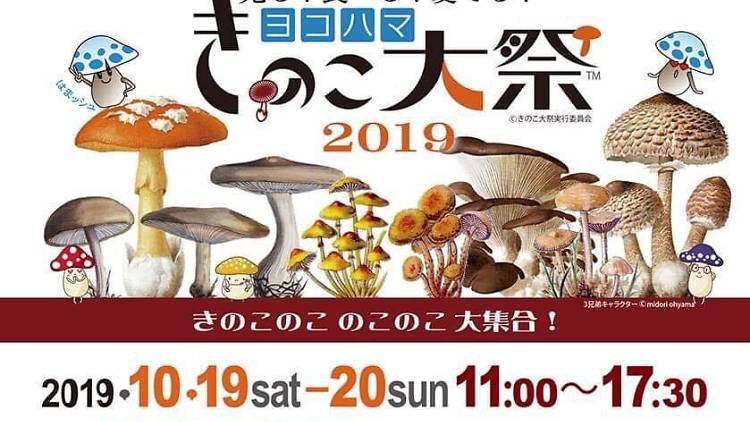 Mushroon Festival