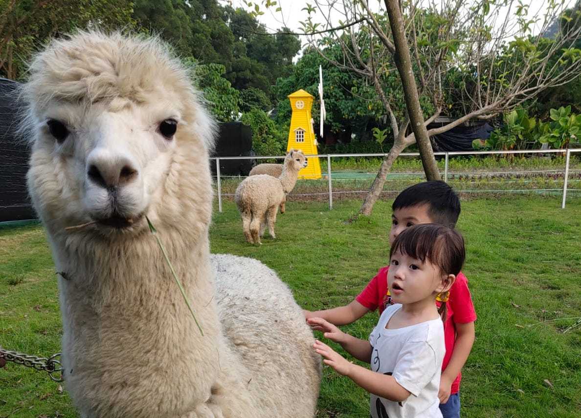 6 best local farms in Hong Kong for peace and quiet