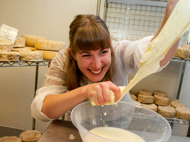 Make Your Own Cheese Make Your Own Cheese