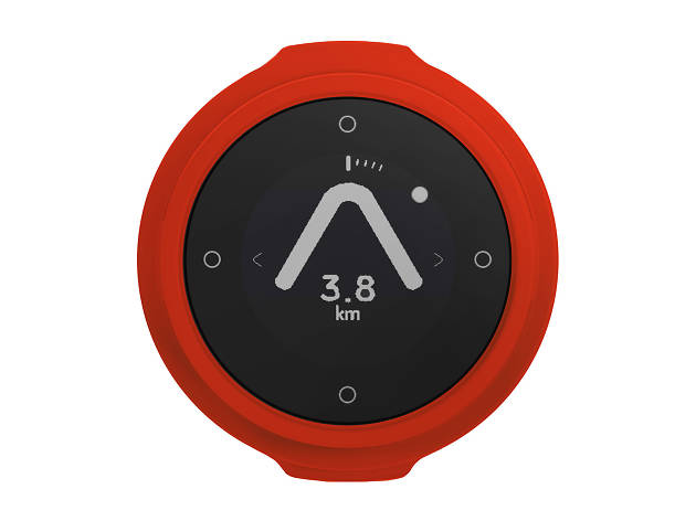 Beeline navigator Beeline navigator