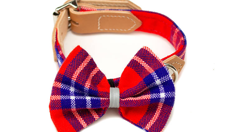 Shuka red dog bow tie