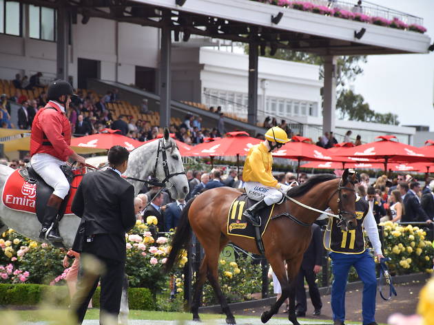 Melbourne Cup 2015 People riding horses at Melbourne Cup 2015