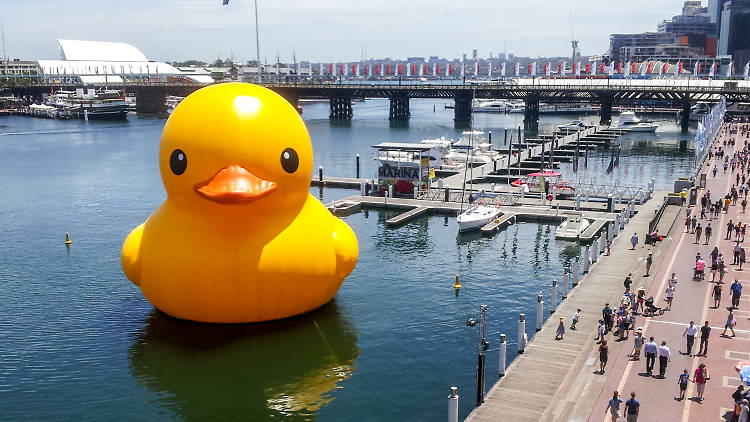 Florentijn Hofman's Rubber Duck at Darling Harbour, Sydney