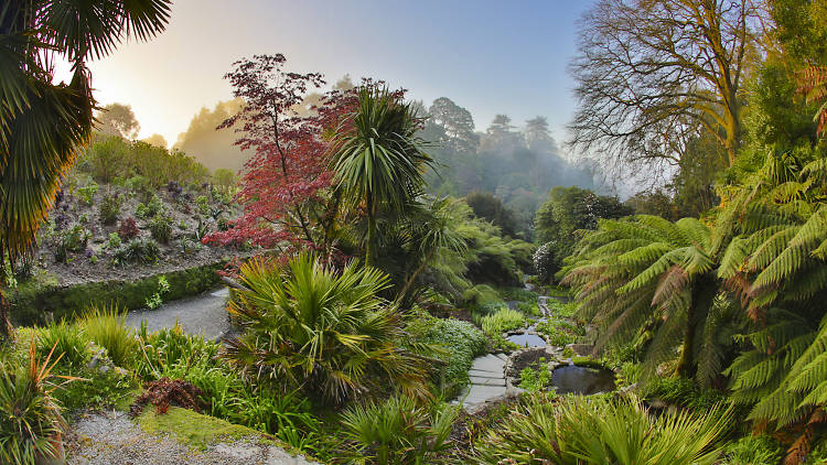 Soak up the vibes at the botanical garden