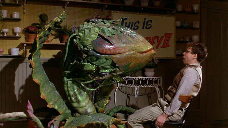 Little Shop of Horrors