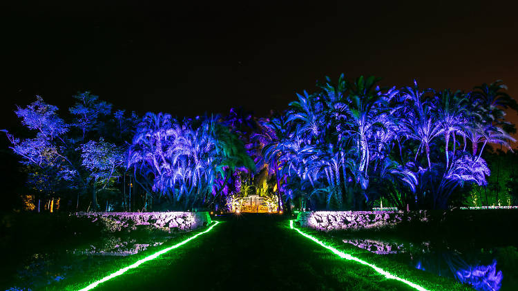 NightGarden - Fairchild Tropical Botanic Garden