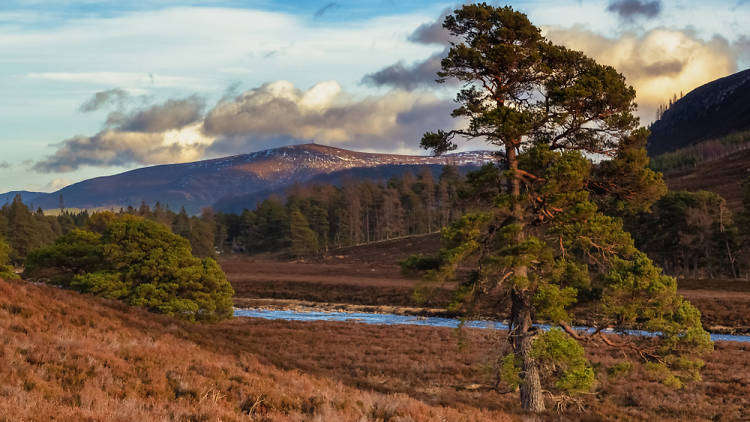 Linn of Dee, Scotland 