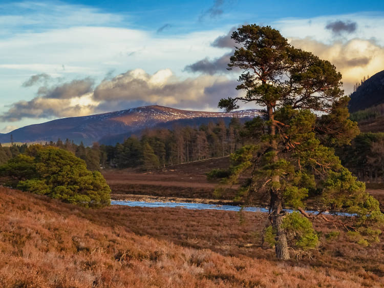 Intrigued about what else Scotland has to offer?