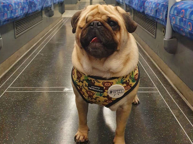 Happy To Talk no Metro de Londres Happy To Talk no Metro de Londres