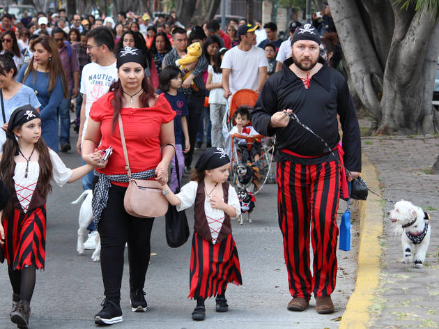 Caminata Canina con Disfraces La quinta edición de Caminata Canina con Disfraces llega a la CDMX con actividades para disfrutar en familia