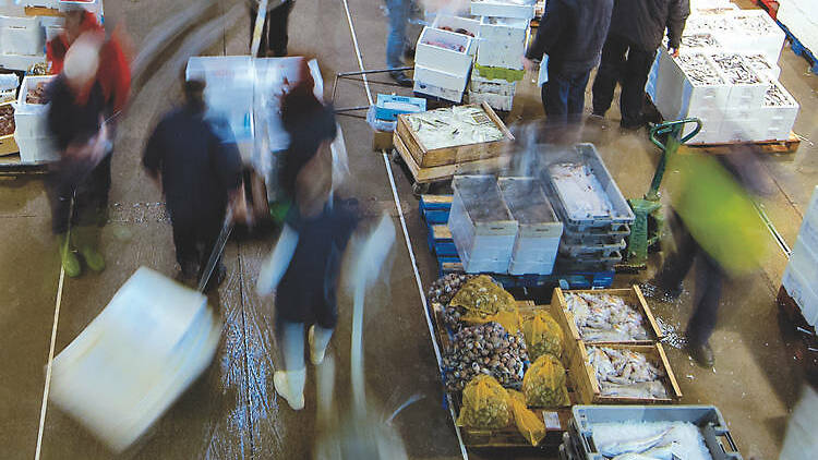 Visita diurna en el mercado de fruta