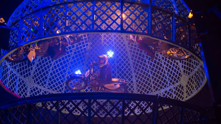 8pm: go Cirque Berserk