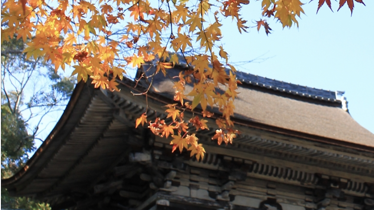 Have a zen moment at Mii-dera Temple