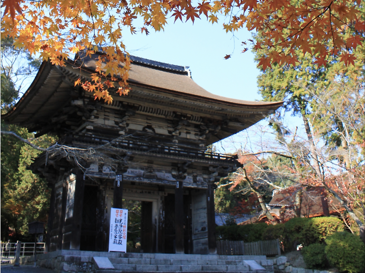 Have a zen moment at Mii-dera Temple