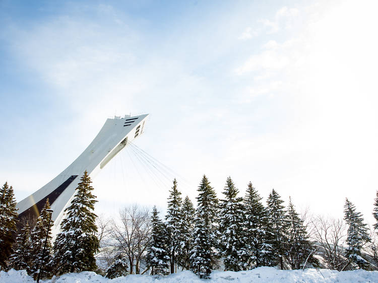 Les Jeux d’hiver au Parc olympique