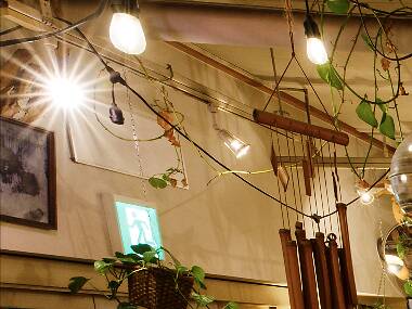 東京で行くべきレコードショップ 東京で行くべきレコードショップ