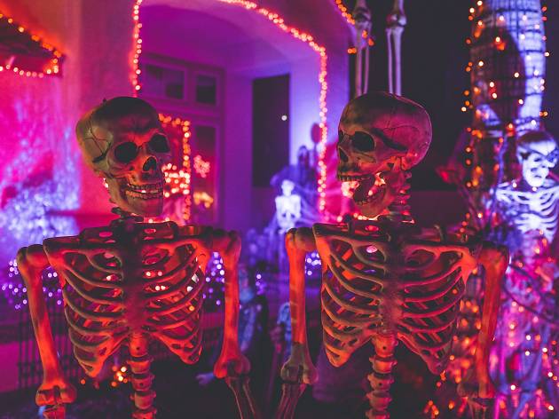 Halloween Halloween